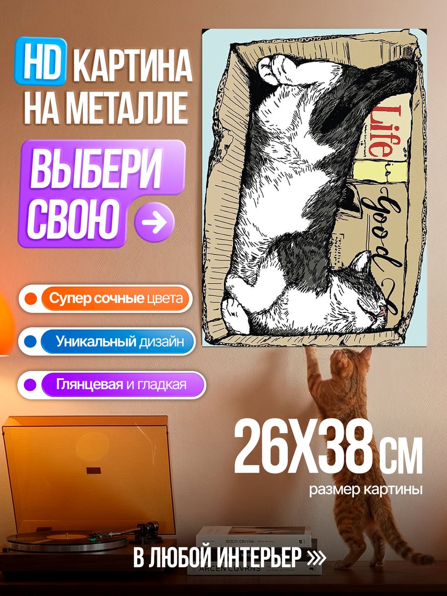 Картина на металле кот в коробке