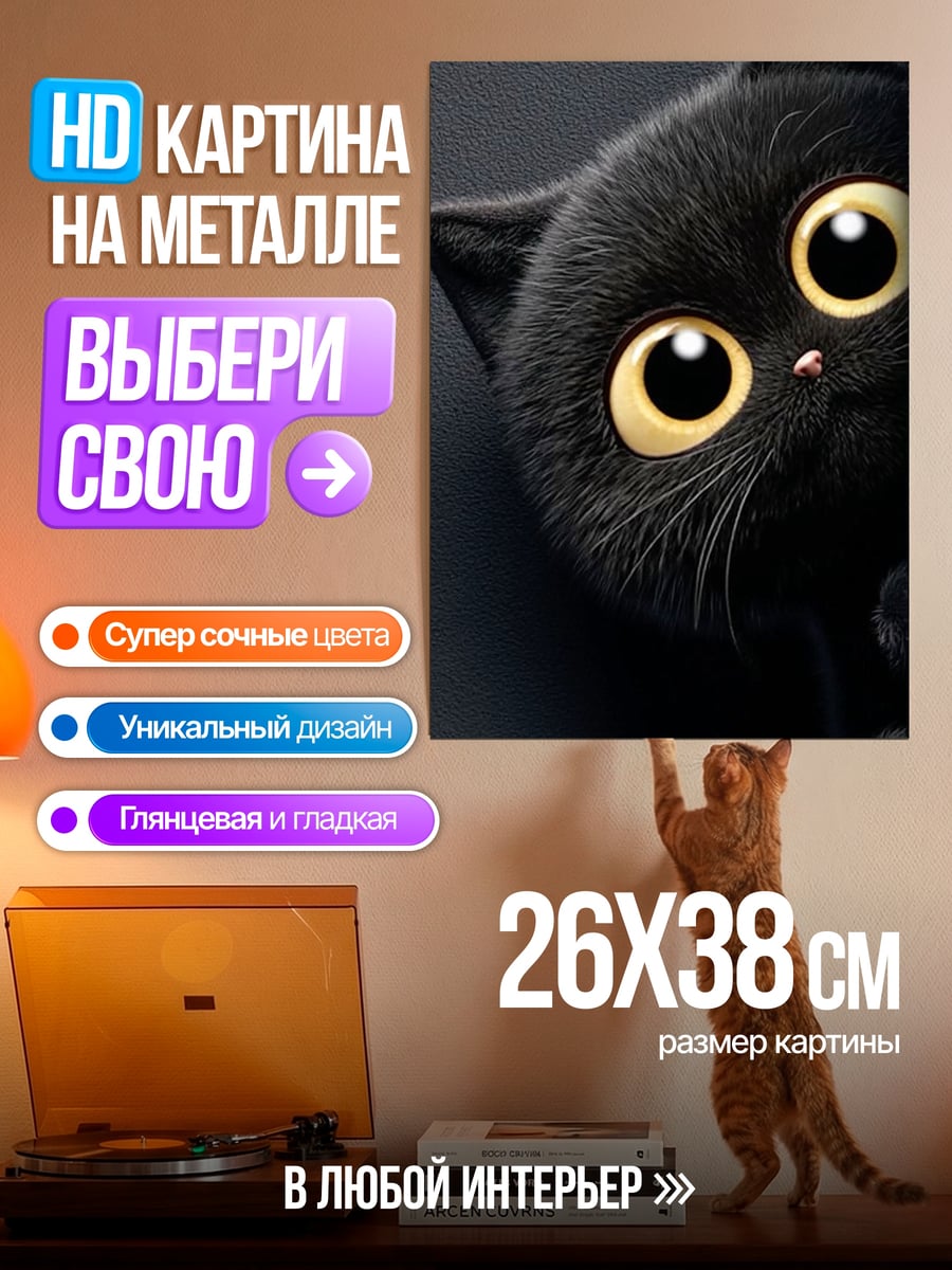 Картина на металле Черный кот с большими глазами