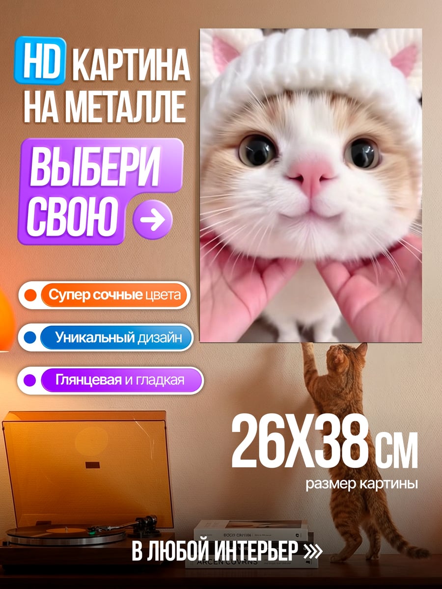 Картина на металле Кот в шапке