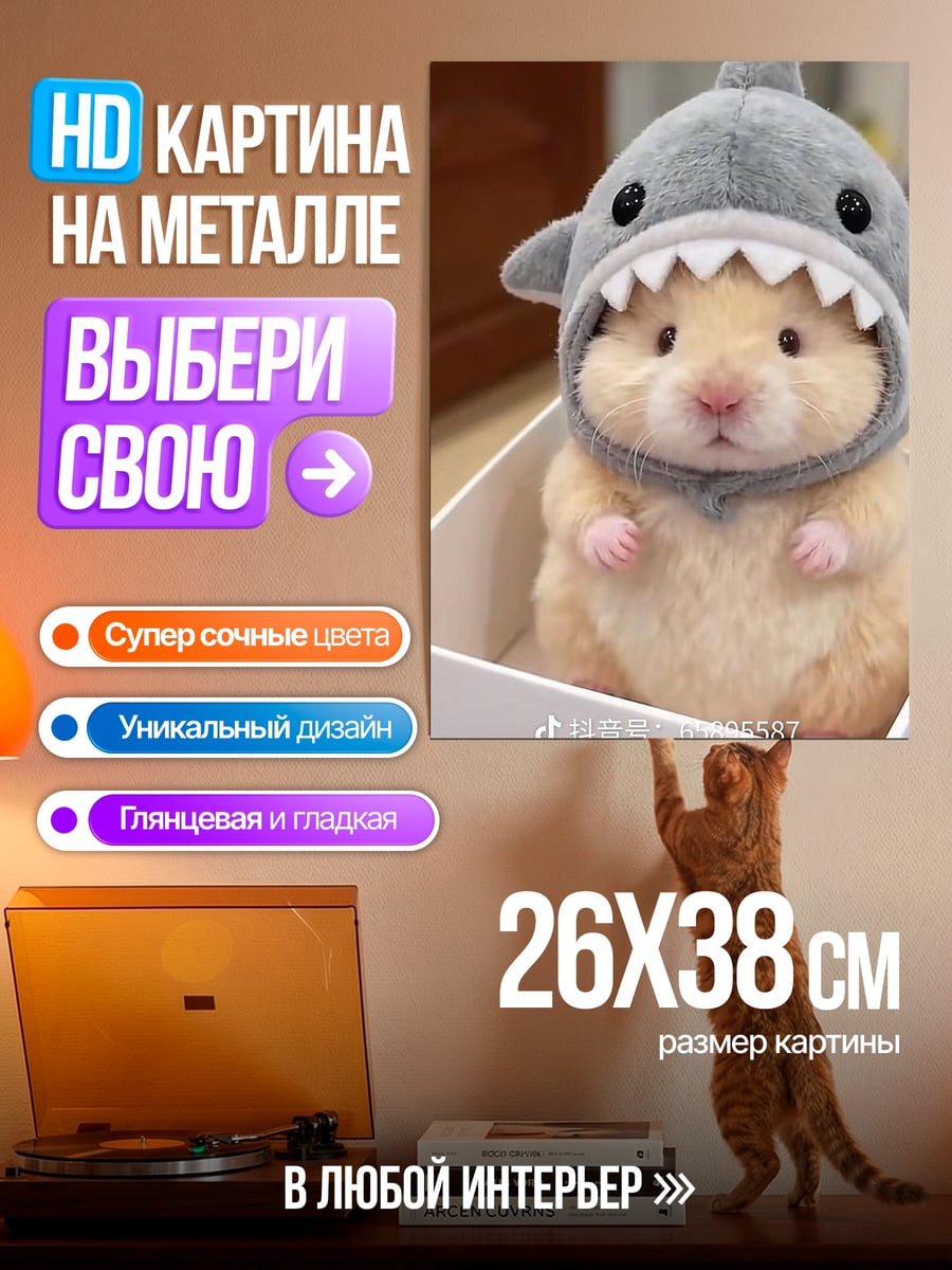 Картина на металле Хомяк в шапке акулы