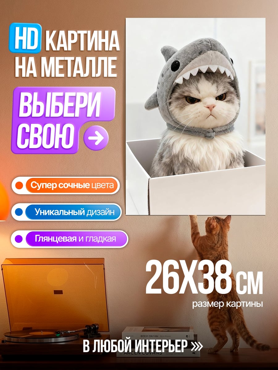 Картина на металле Кот в шапке акулы