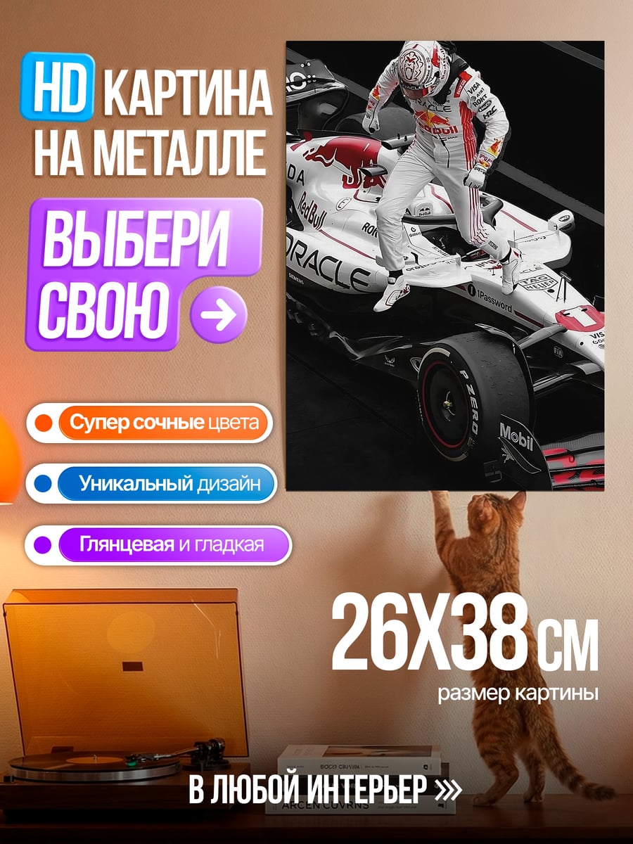 Картина на металле Гонщик на машине Формулы 1