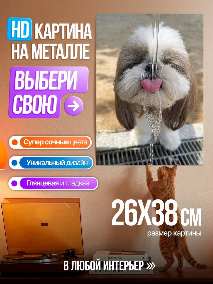 Картина на металле Шиба ину пьет воду