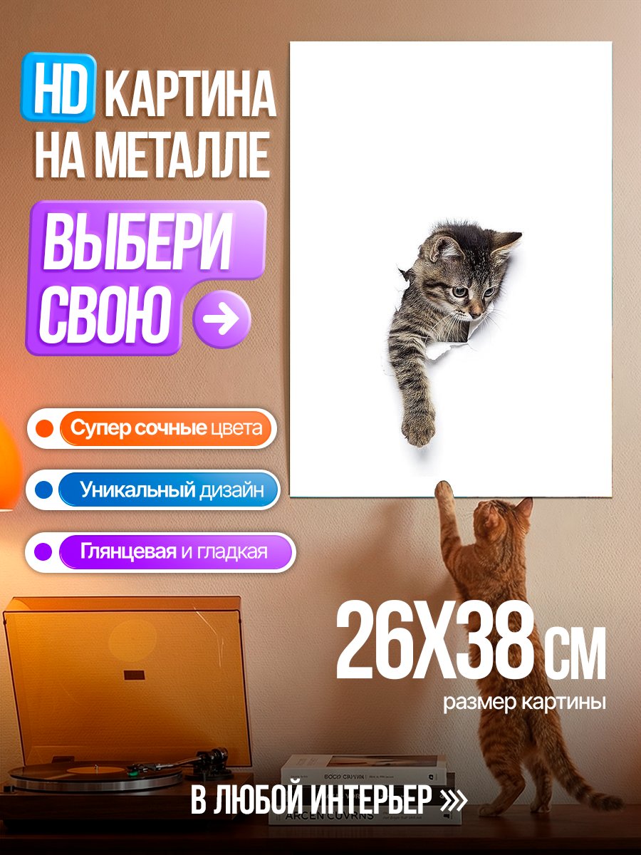 Картина на металле Кот прорывается сквозь стену