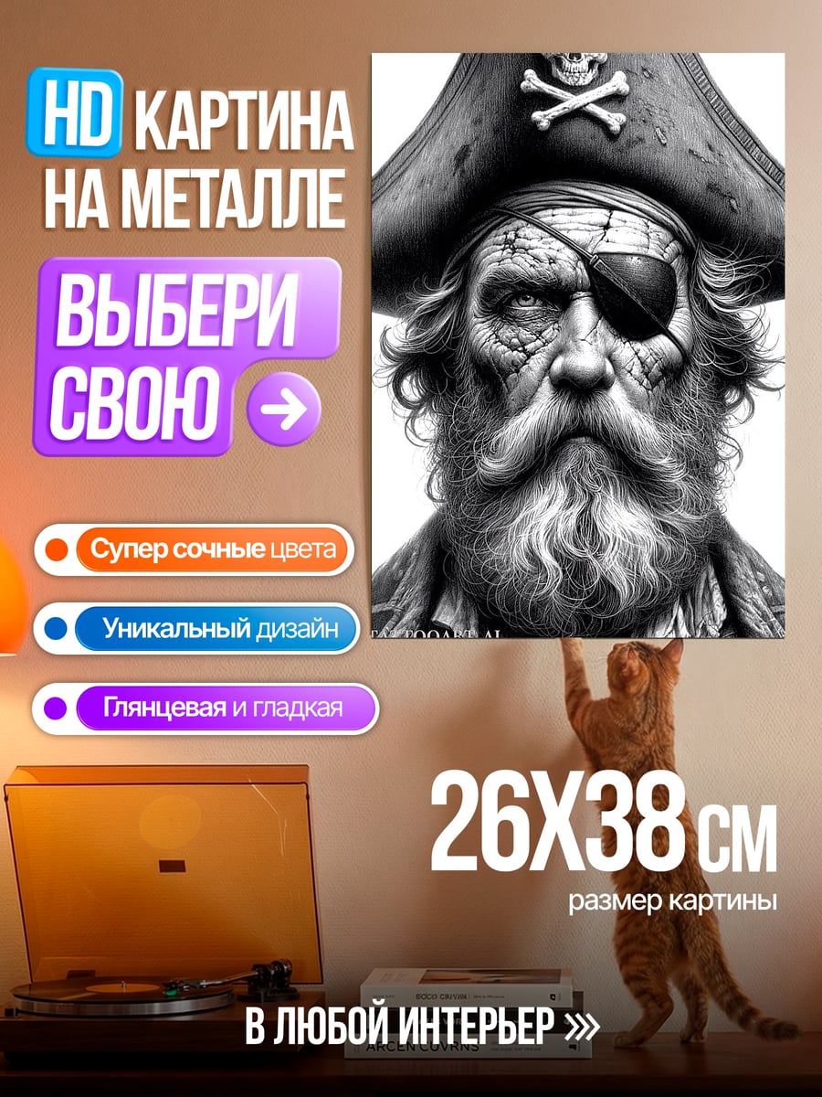 Картина на металле Старый пират