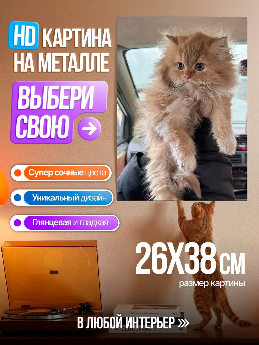 Картина на металле Рыжий пушистый котенок