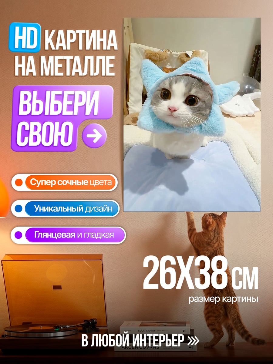 Картина на металле Котенок в шапке звезды
