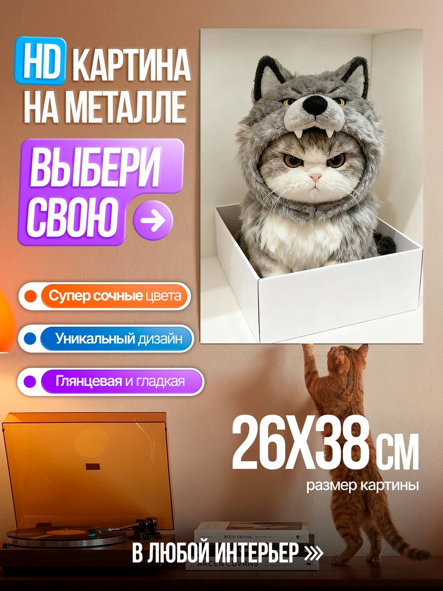 Картина на металле Кот в костюме волка