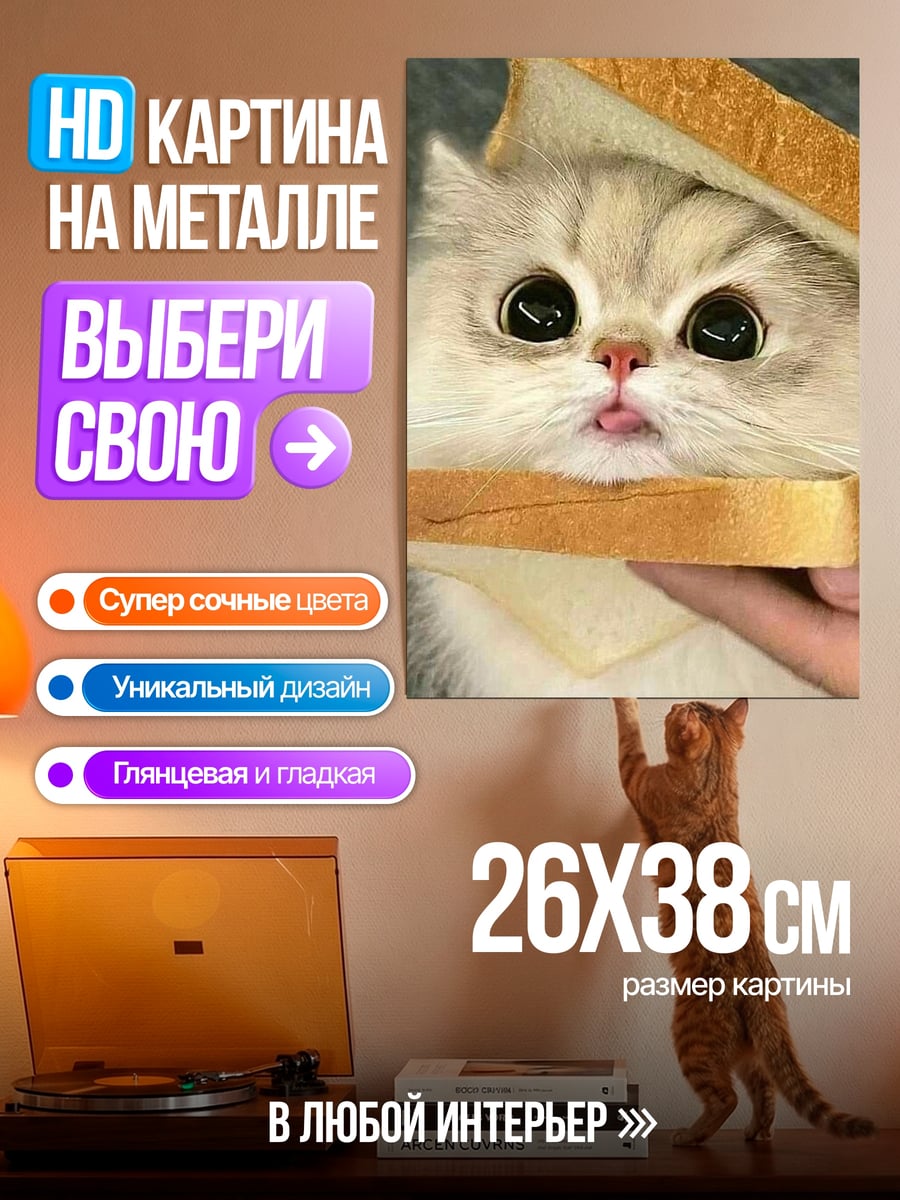 Картина на металле Кот в тосте