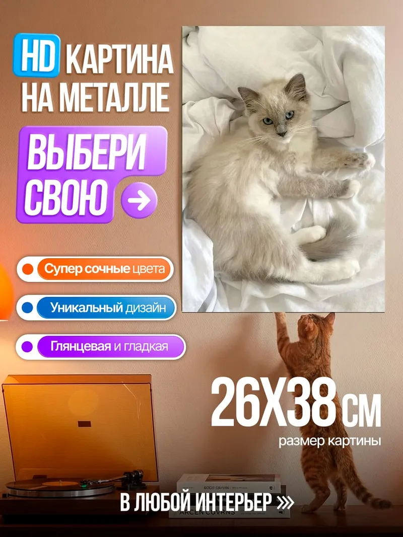 Картина на металле Пушистый кот на кровати