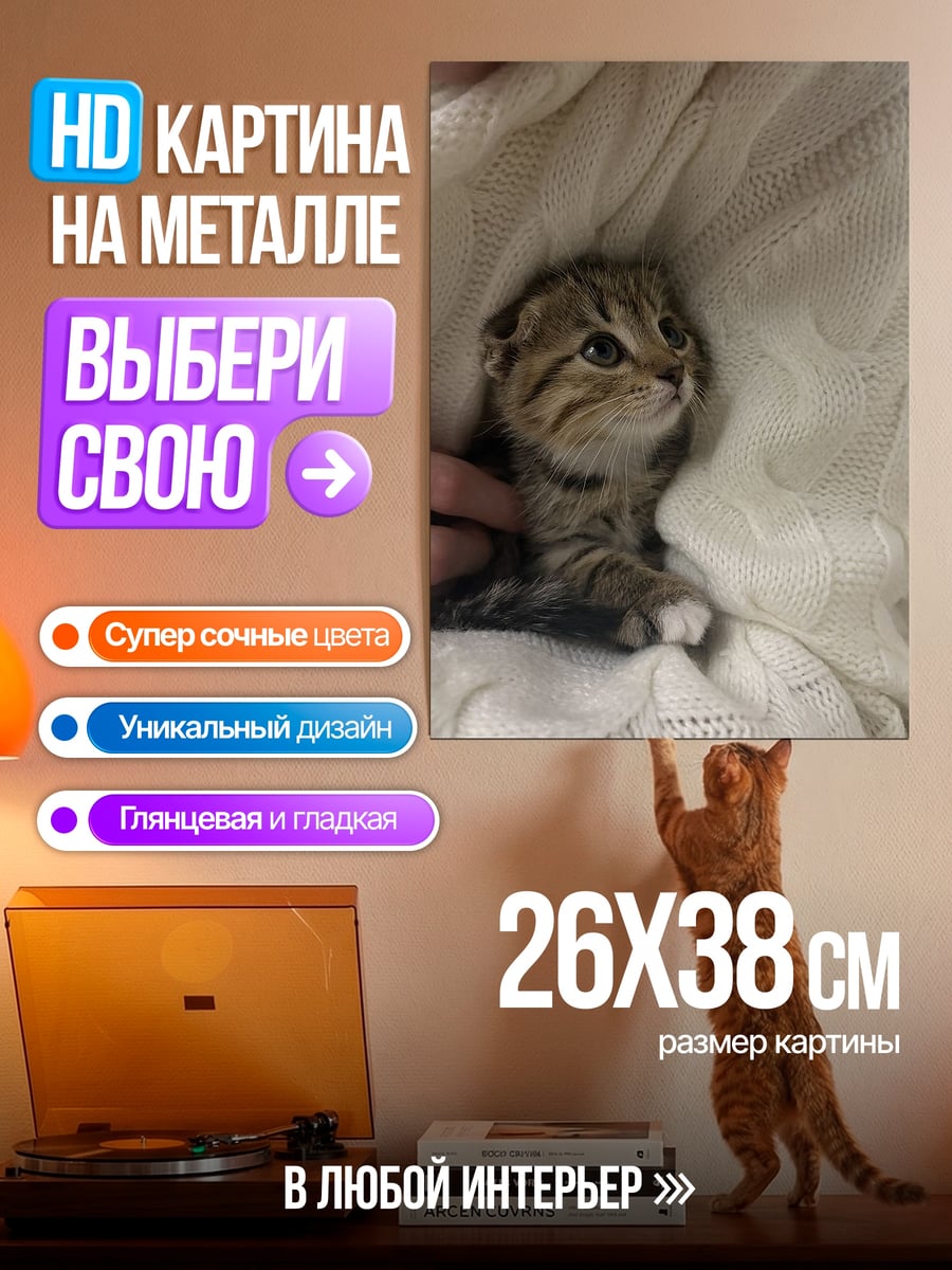 Картина на металле Котёнок в пледе
