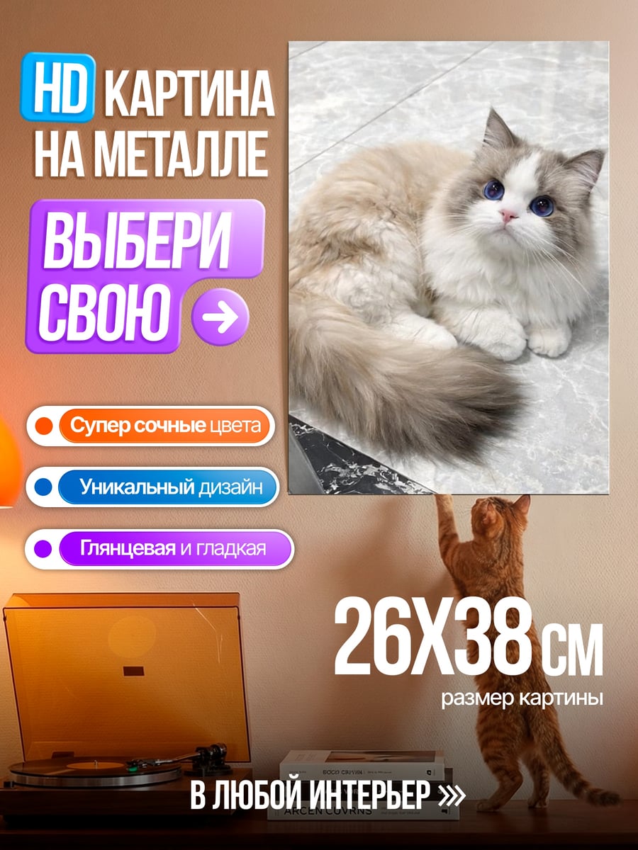 Картина на металле Пушистый кот лежит