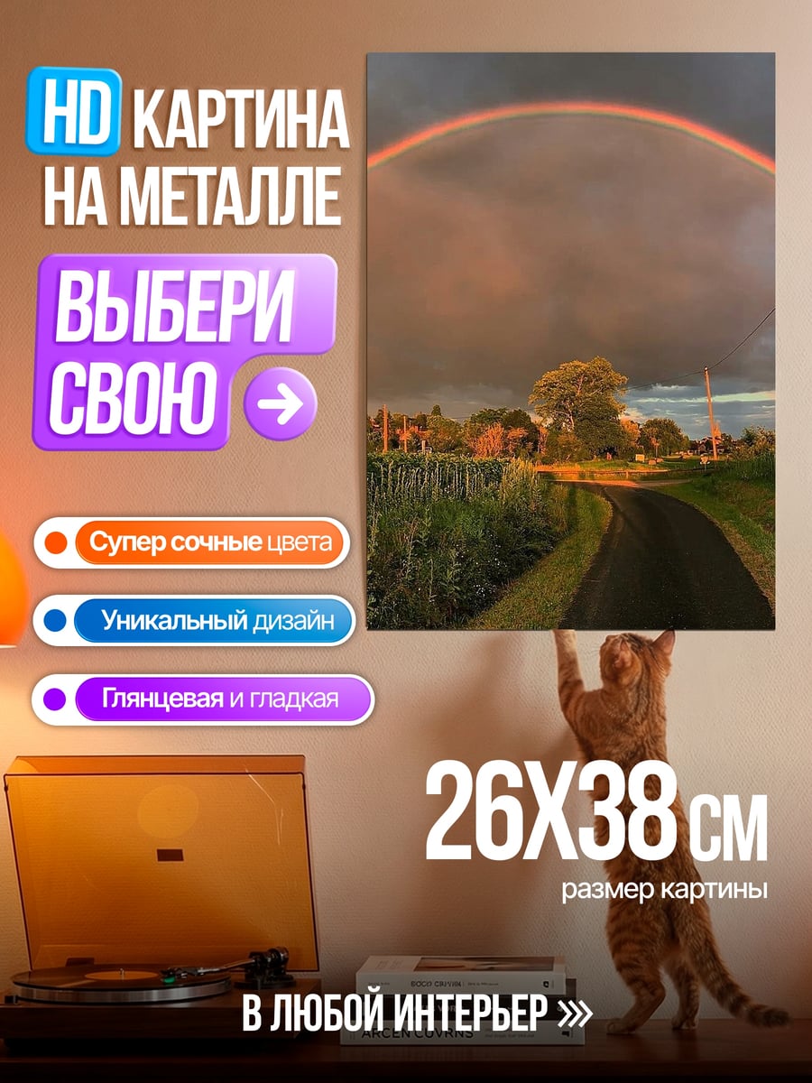 Картина на металле Радуга над полем