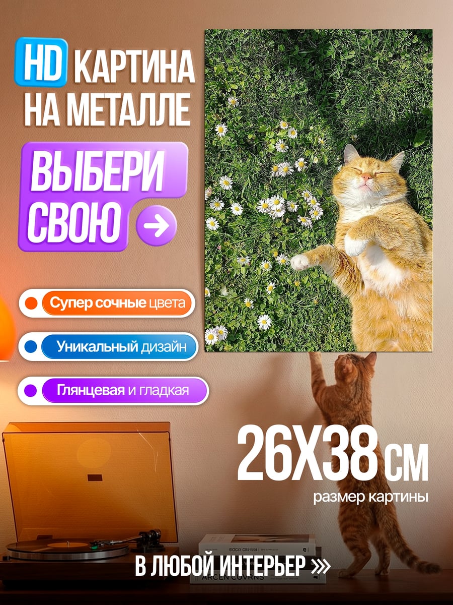 Картина на металле Кот на траве