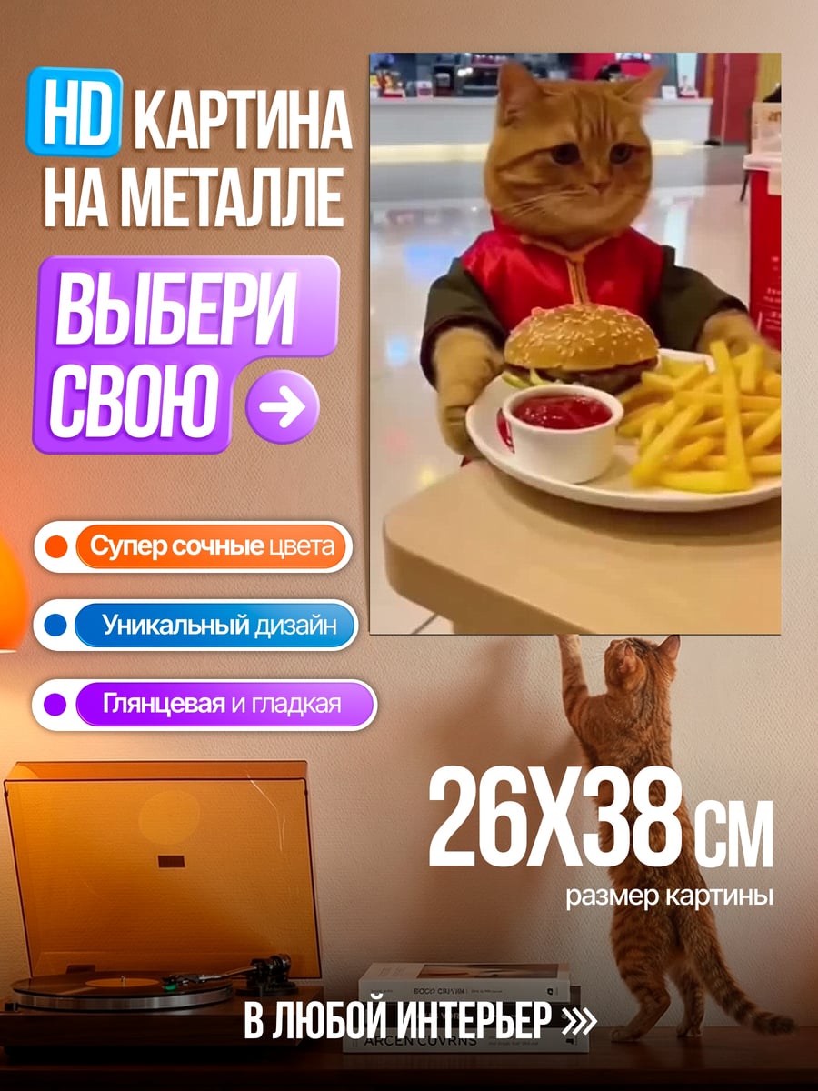 Картина на металле Кот с бургером