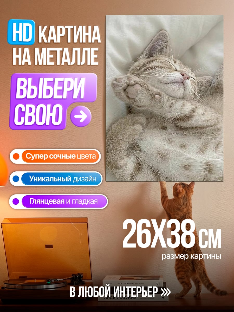 Картина на металле Спящий котенок