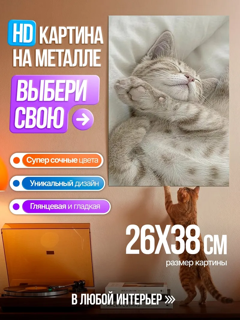 Картина на металле Спящий котенок