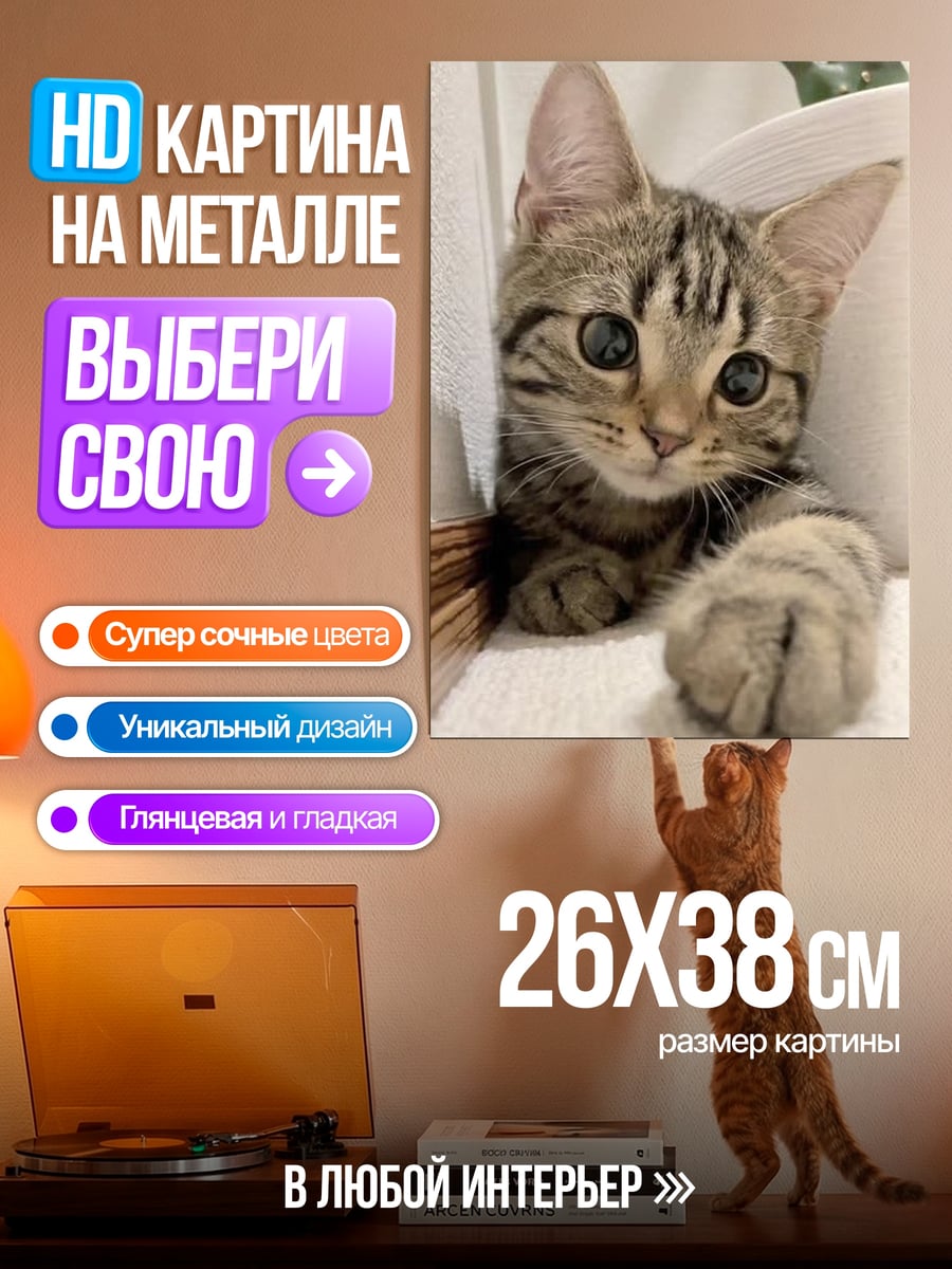 Картина на металле Котёнок с большими глазами