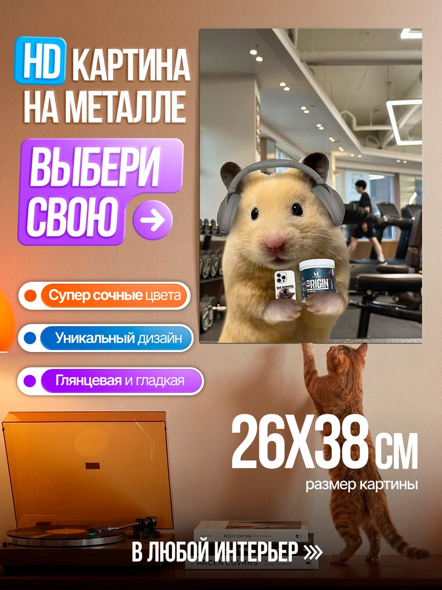 Картина на металле Хомяк в спортзале