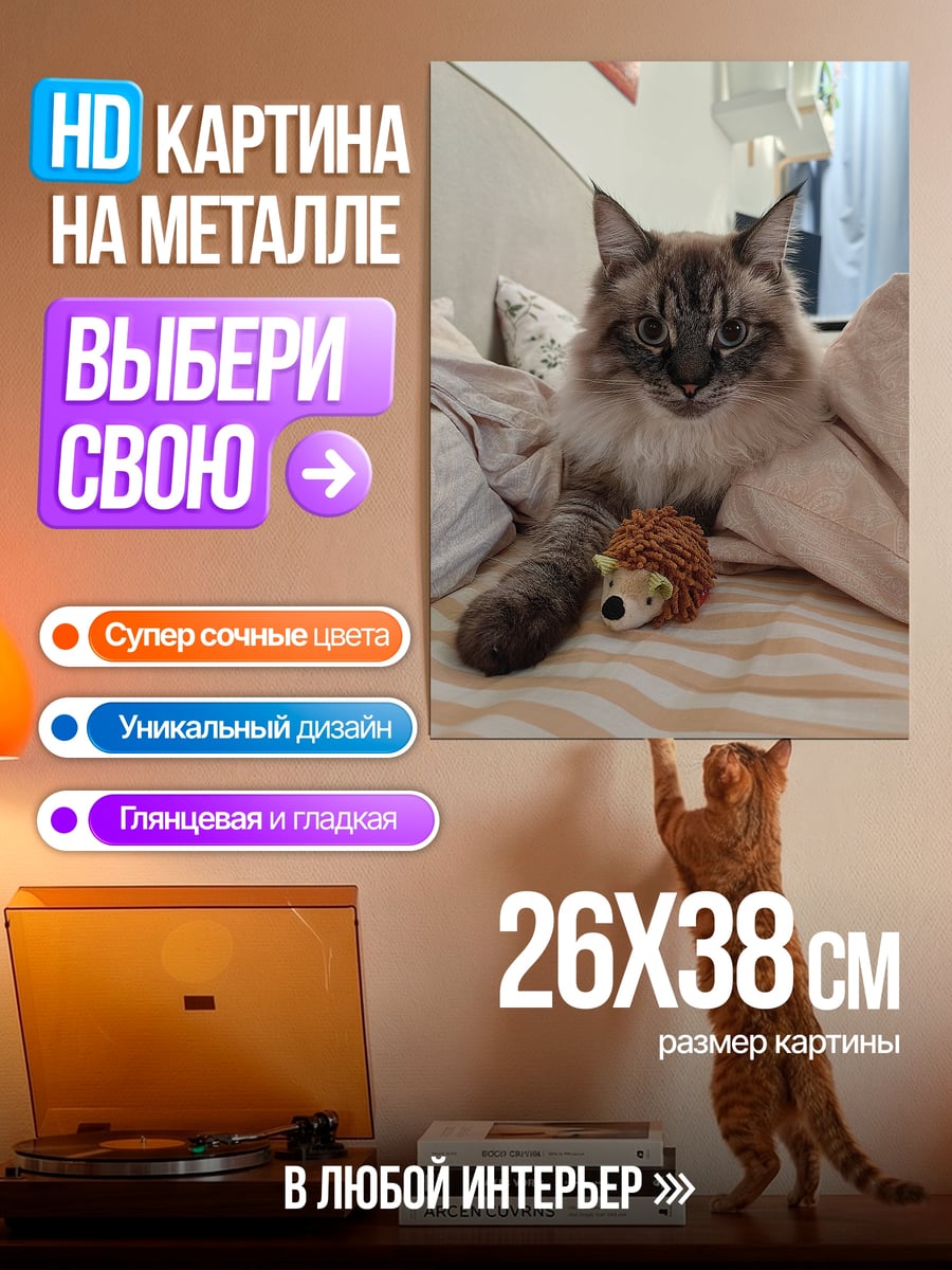 Картина на металле Пушистый кот с игрушкой