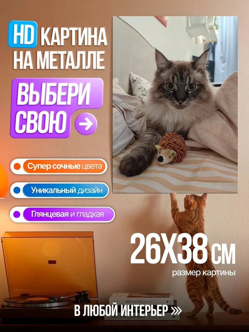 Картина на металле Пушистый кот с игрушкой