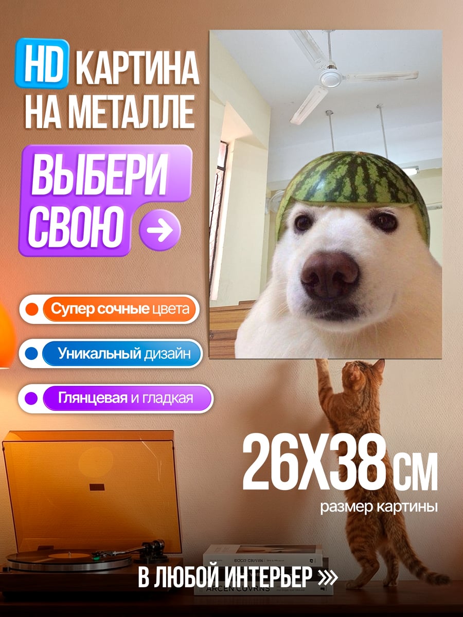 Картина на металле Собака в арбузе