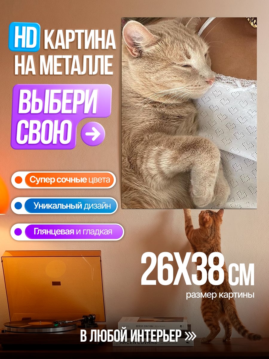 Картина на металле Спящий кот