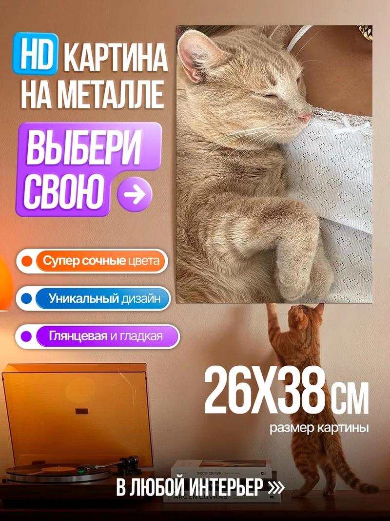 Картина на металле Спящий кот