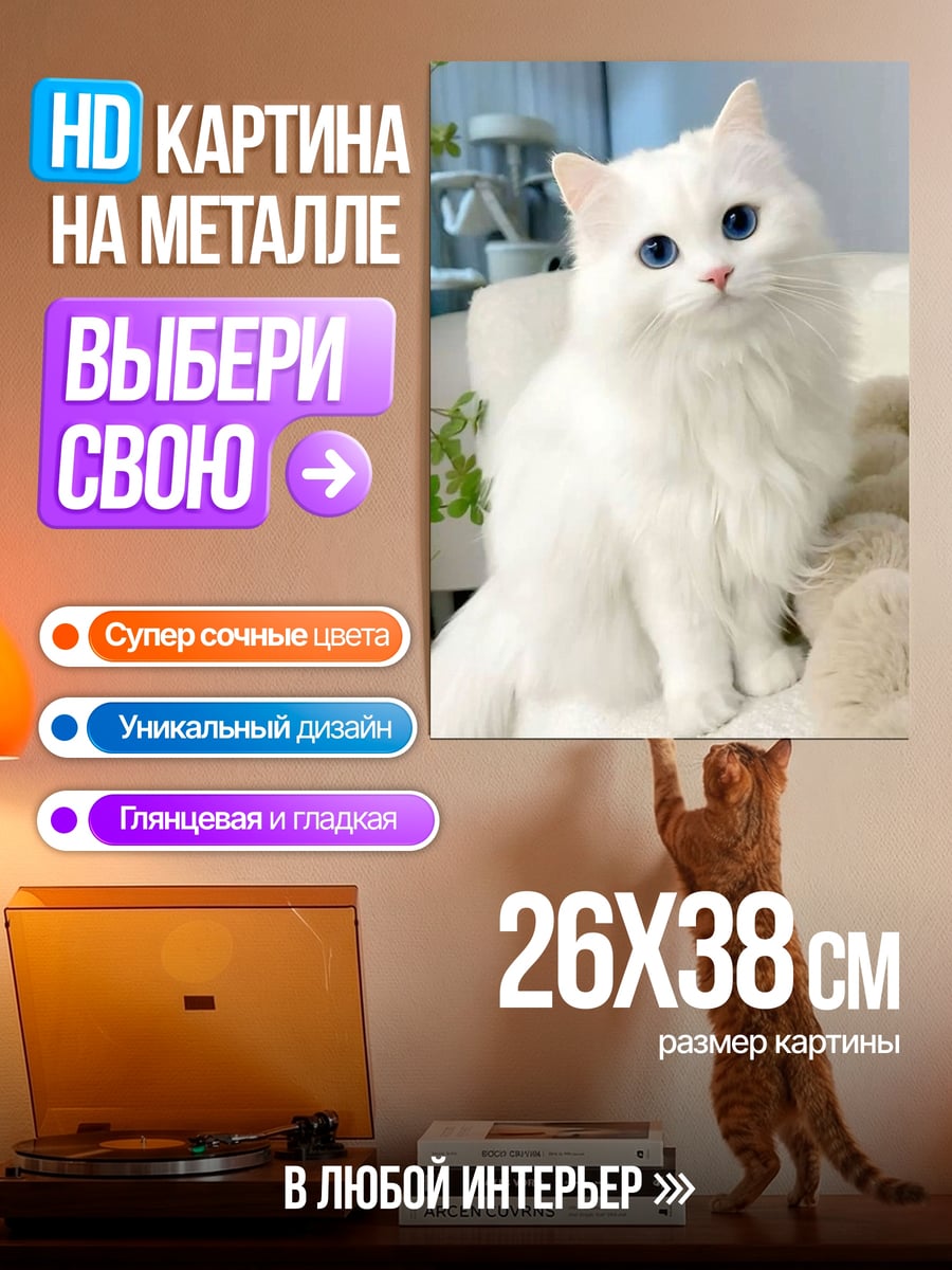 Картина на металле Белый кот