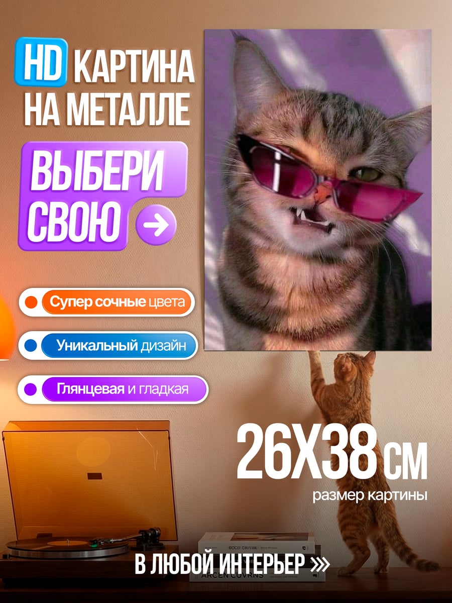 Картина на металле Кот в розовых очках