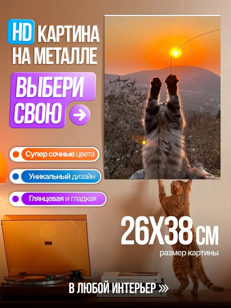 Картина на металле Кот ловит закат