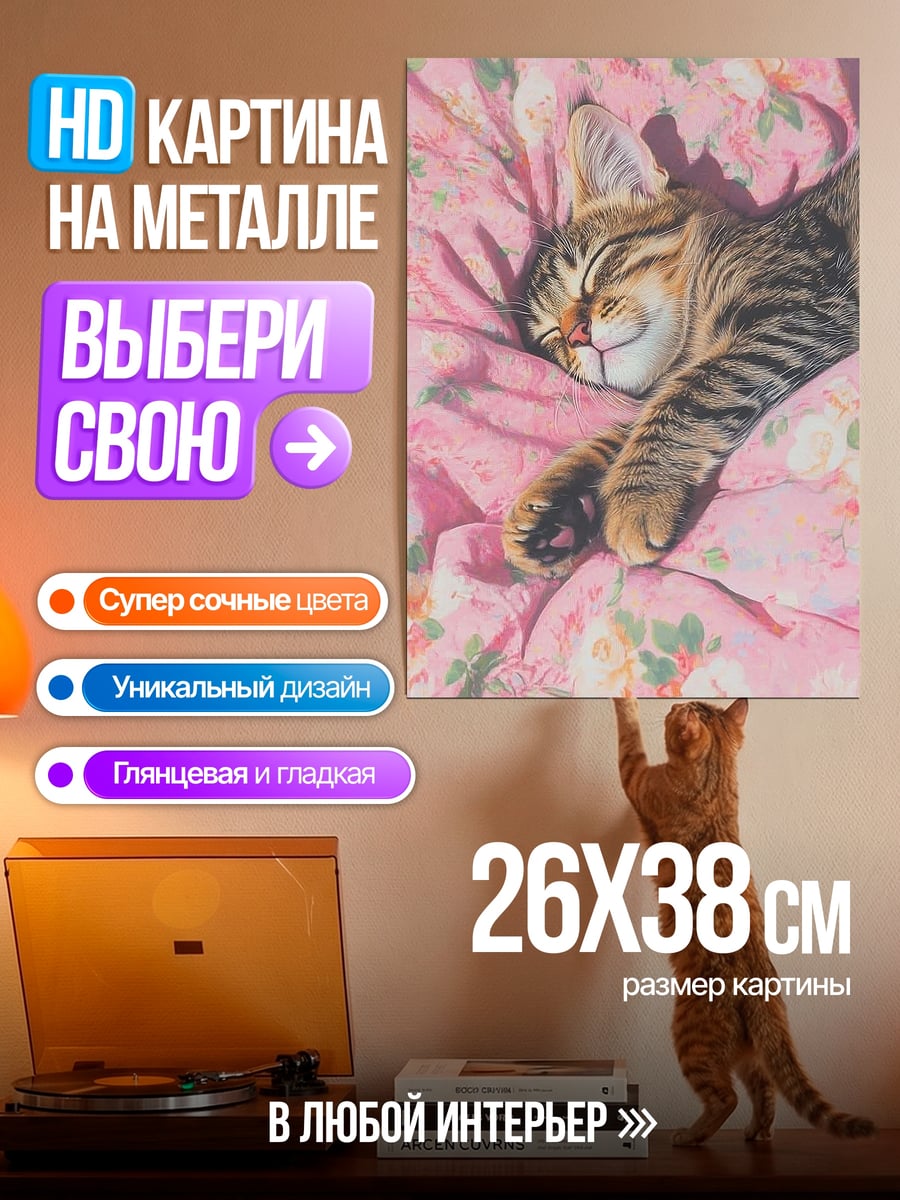 Картина на металле Спящий котенок