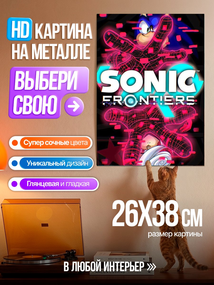 Картина на металле Соник Фронтирс