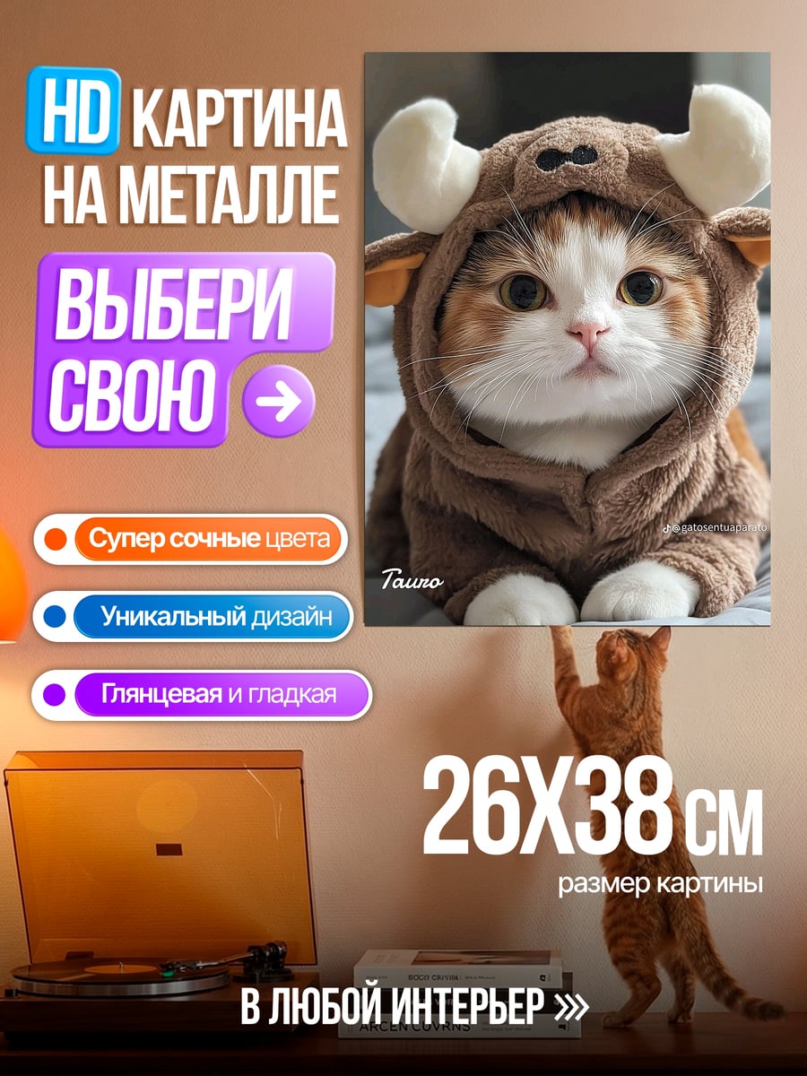 Картина на металле Кот в костюме