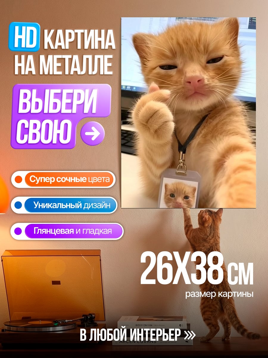 Картина на металле Кот с бейджем