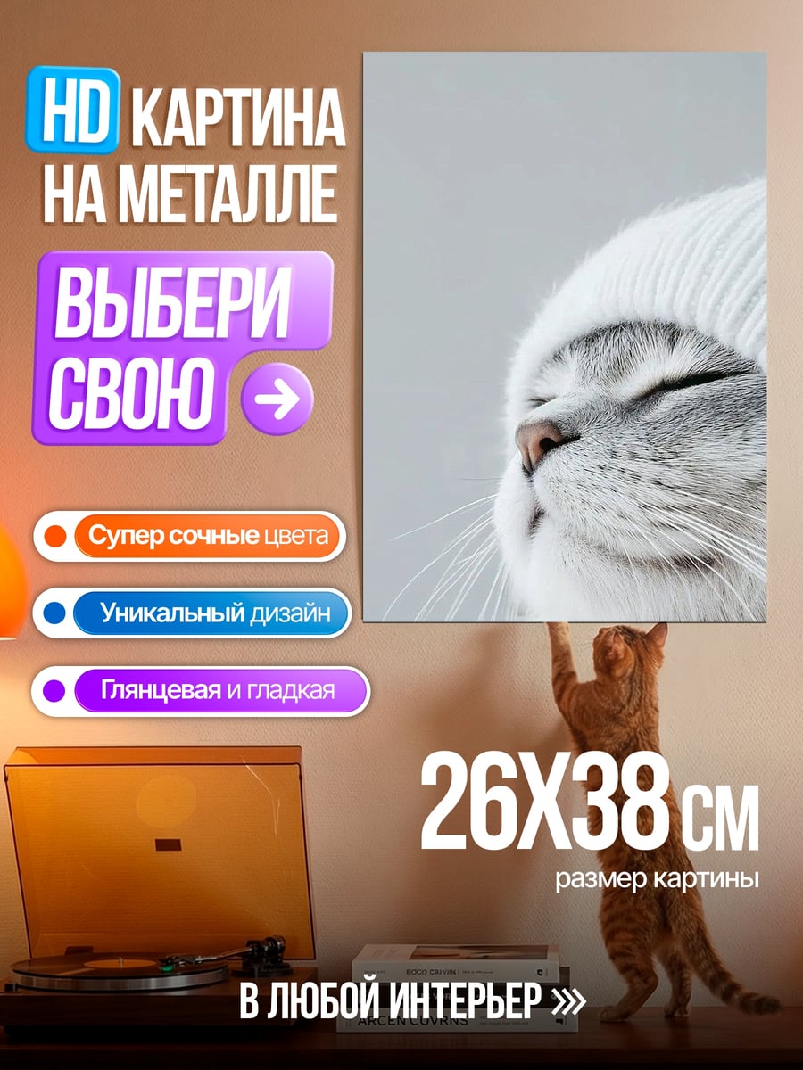 Картина на металле Кот в шапке