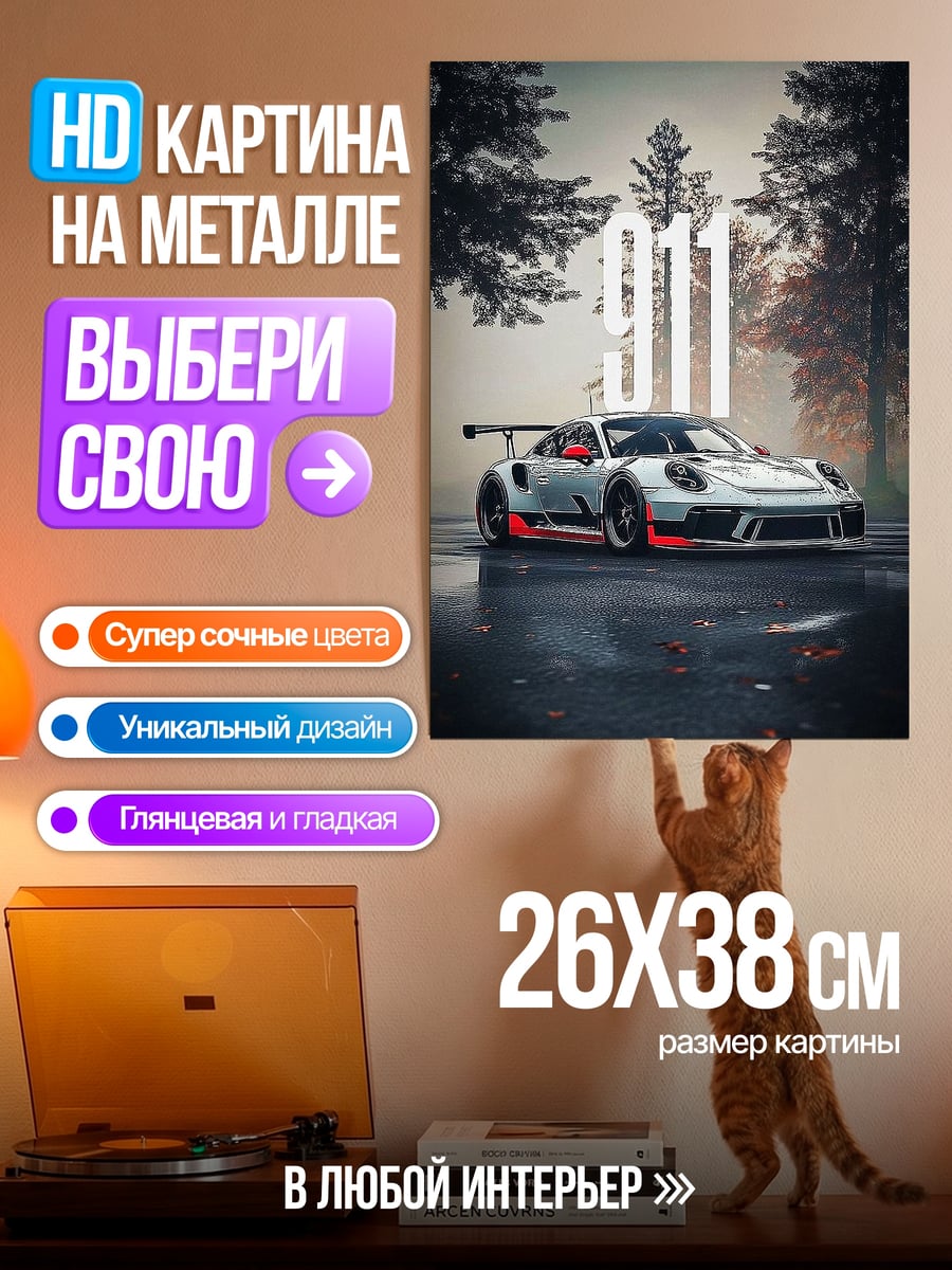 Картина на металле Порше 911 гоночный