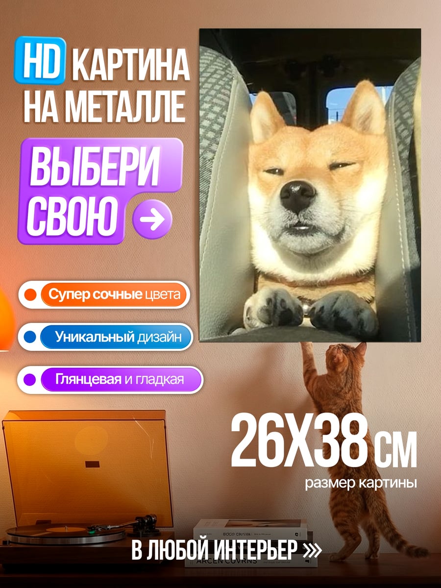 Картина на металле Шиба ину в машине