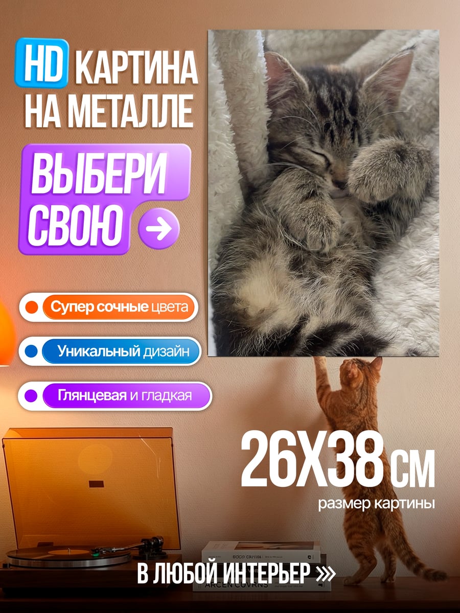 Картина на металле Спящий котенок