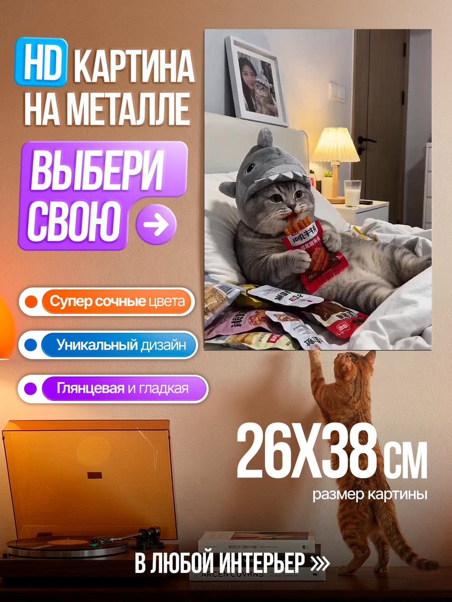 Картина на металле Кот в шапке акулы