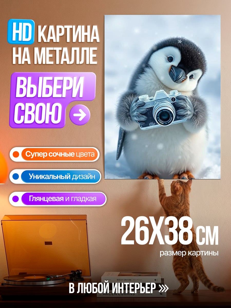 Картина на металле Пингвин с камерой