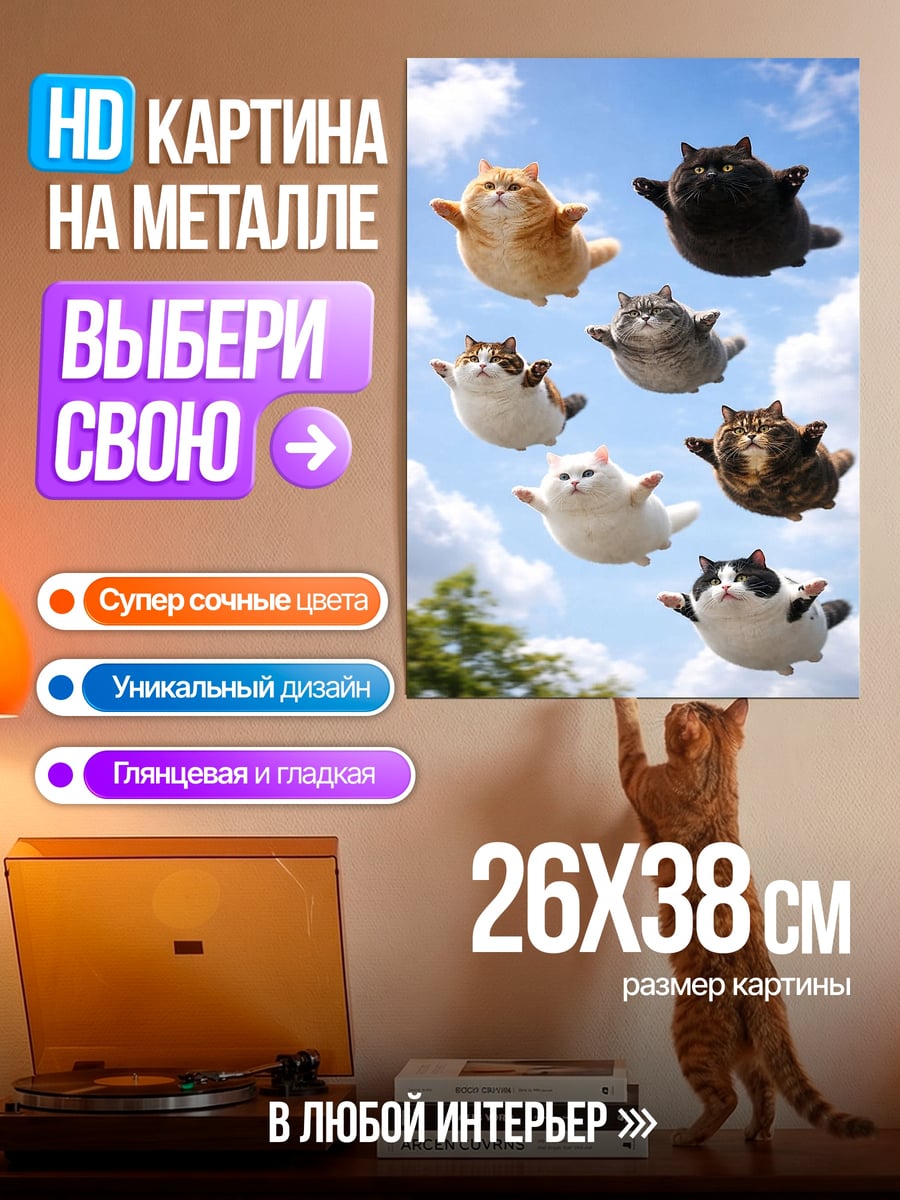 Картина на металле Летающие коты в небе