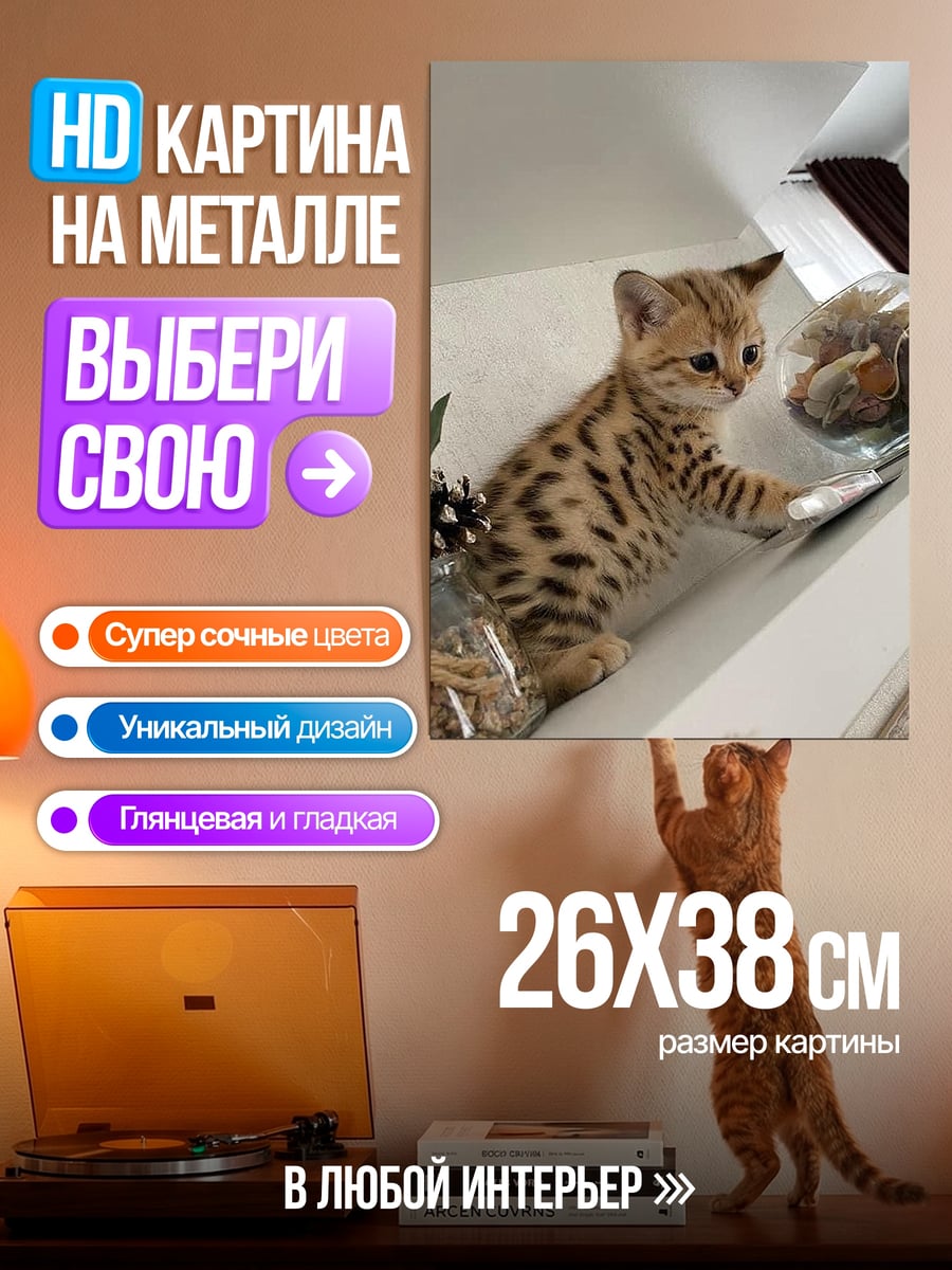 Картина на металле Пятнистый котенок играет
