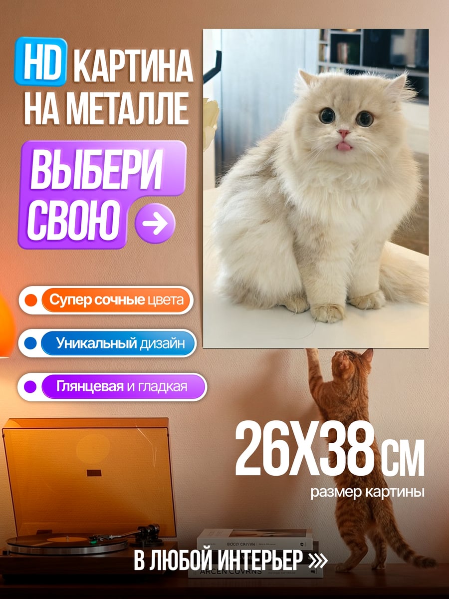 Картина на металле Пушистый кот