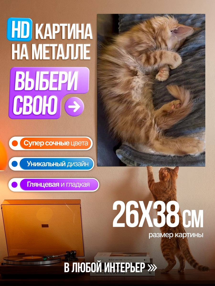 Картина на металле Спящий рыжий кот