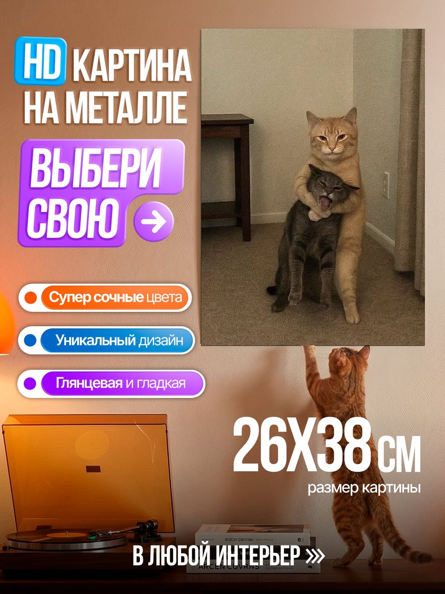 Картина на металле Обнимающиеся коты