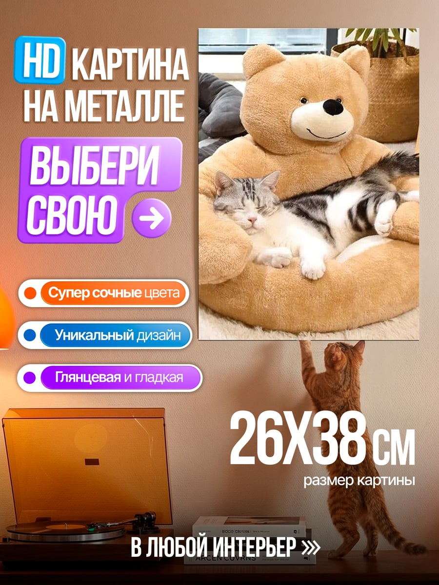 Картина на металле Кот в кресле