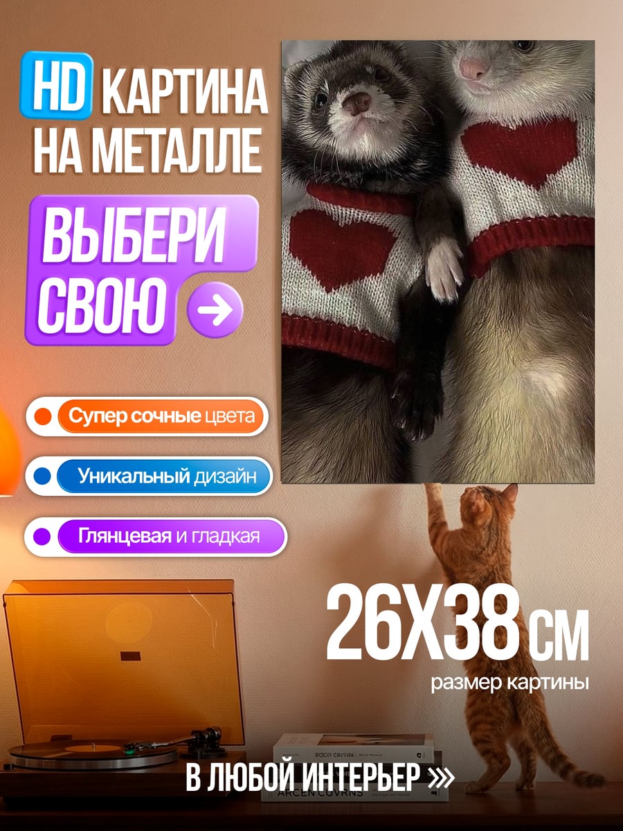 Картина на металле Хорьки в свитерах