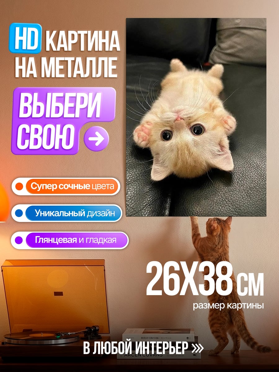 Картина на металле Кот лежит на спине