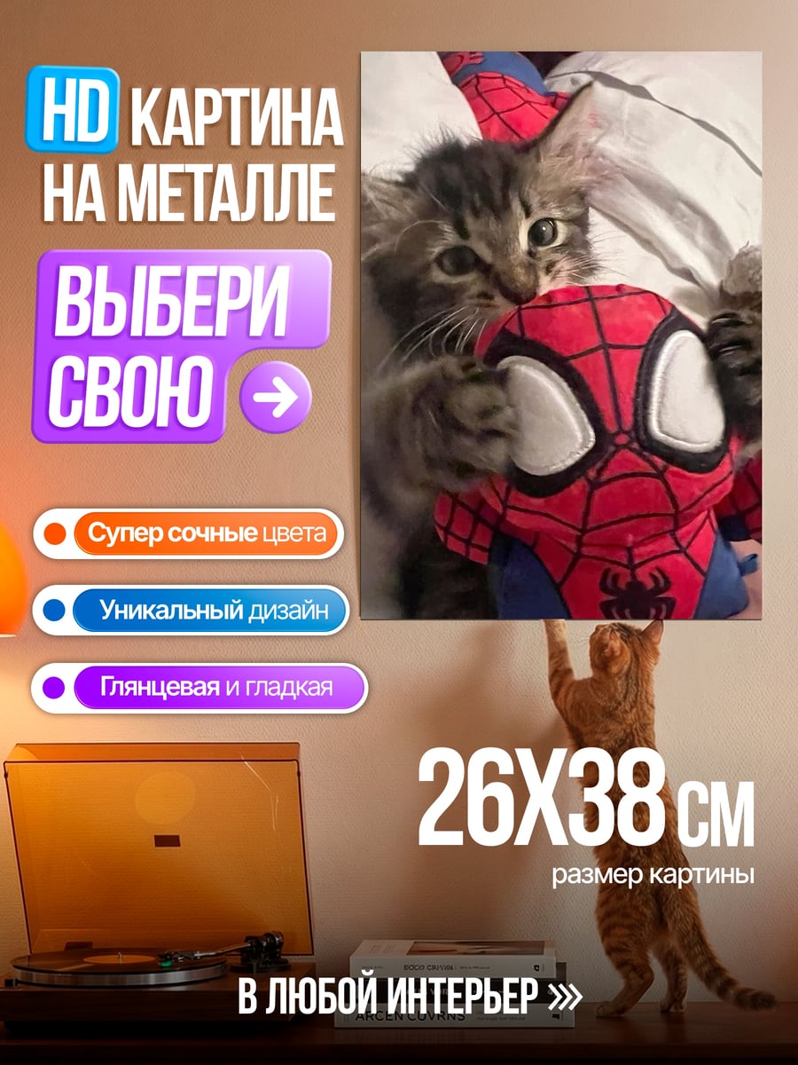 Картина на металле Котенок с игрушкой Человека-паука